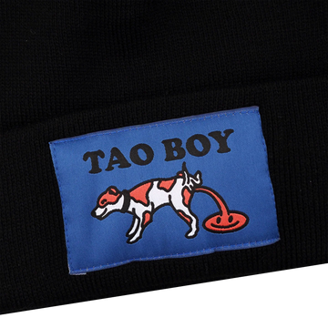 TAOBOY BEANIE